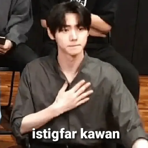 k-pop meme 🇰🇷