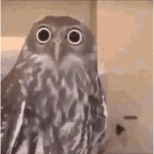 Random gif stickers #3 preview