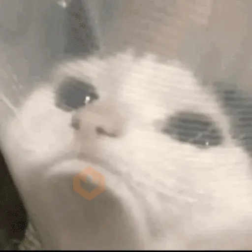 Tiktok Reactions sticker 12