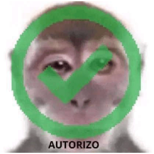 animales viendo la camara preview