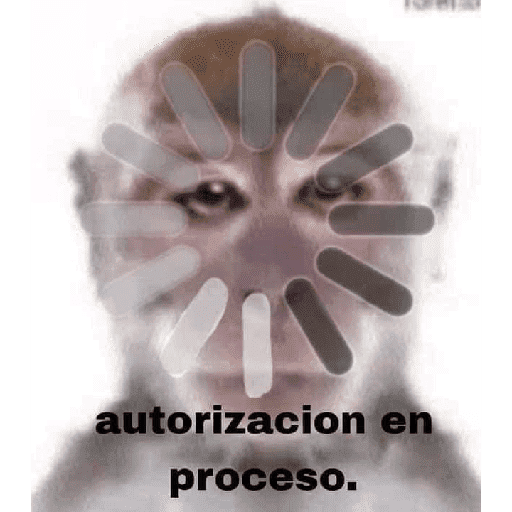 animales viendo la camara preview