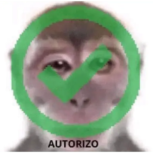 animales viendo la camara