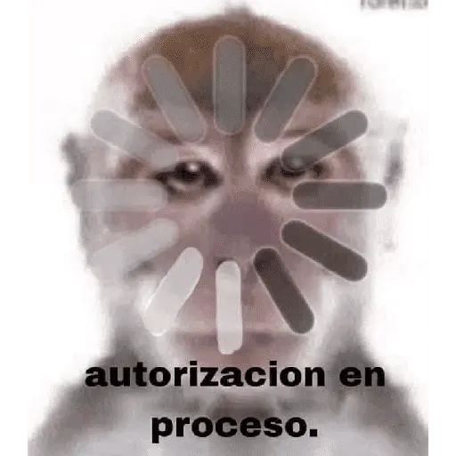 animales viendo la camara