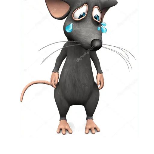 Ratita 