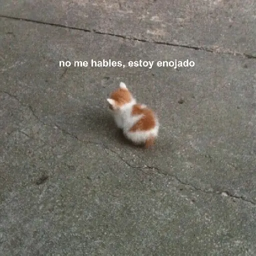 animales random 