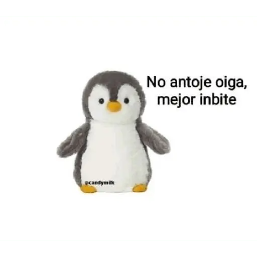animales random 