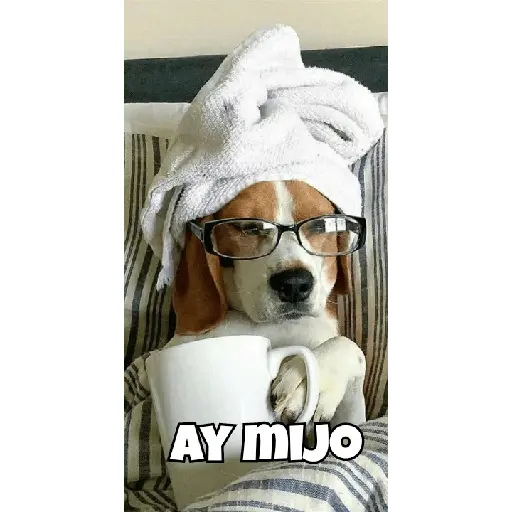 animales random 