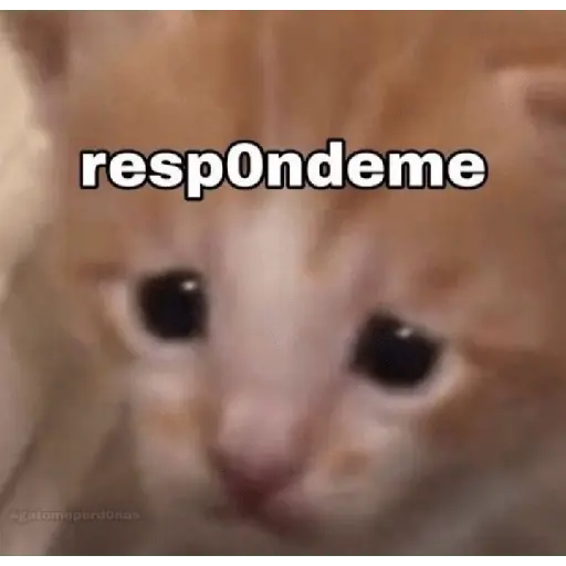 animales random 