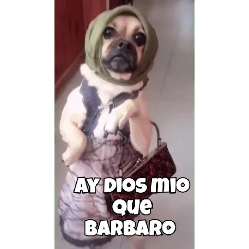 animales random 