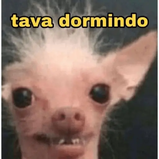 animales random 