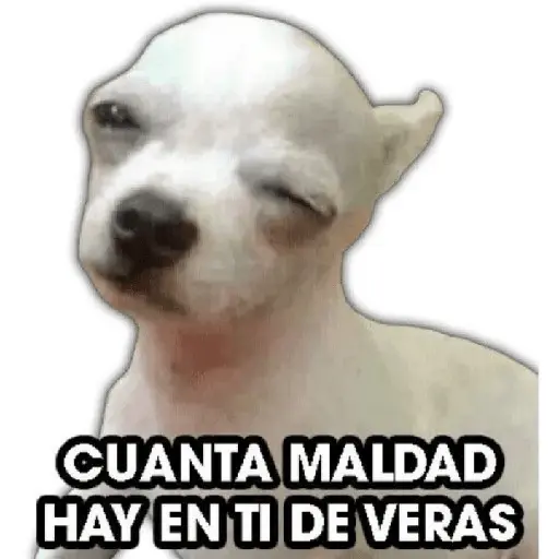 animales random 
