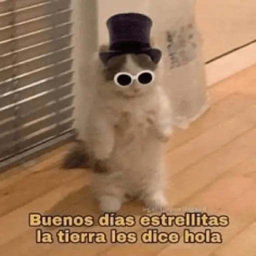 animales random 