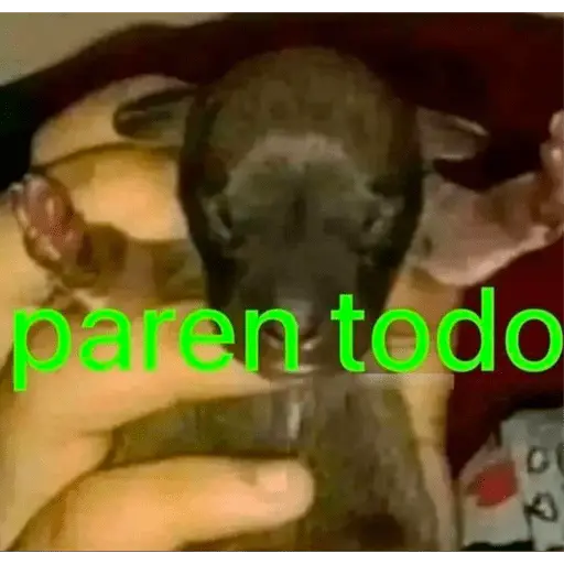 Mis pegatinas