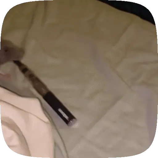 🧀 Ratitas pal chat 🐀🐁 preview