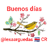 Buenos días Sticker 🌈🌼🌄 