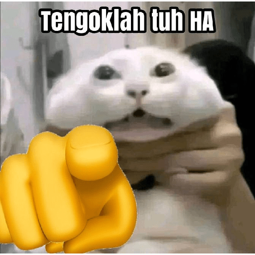 meme kucing / cat preview
