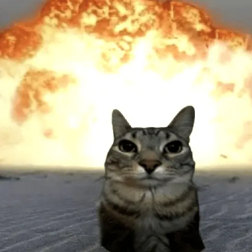 meme kucing / cat