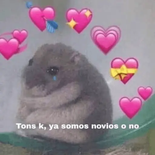 Animales enamorados