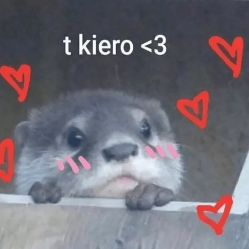 Animales enamorados