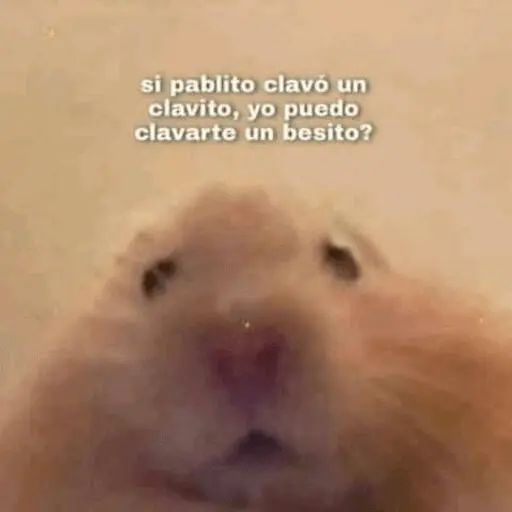 Animales enamorados