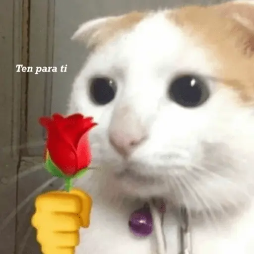 Animales enamorados