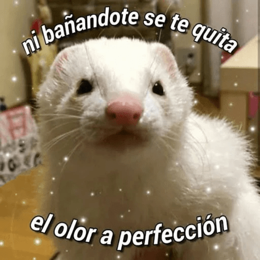 Animales enamorados preview