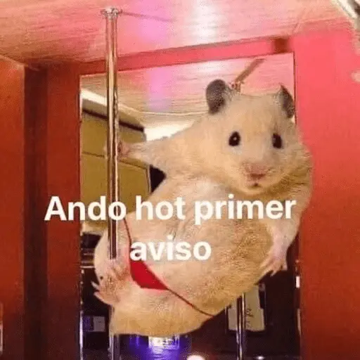 Animales enamorados