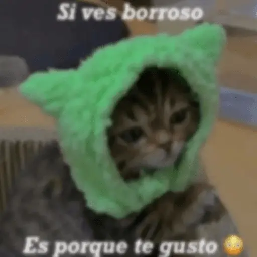 Animales enamorados