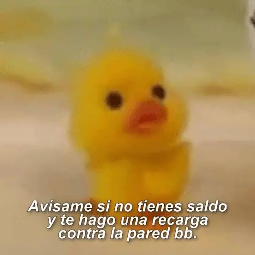 Animales enamorados