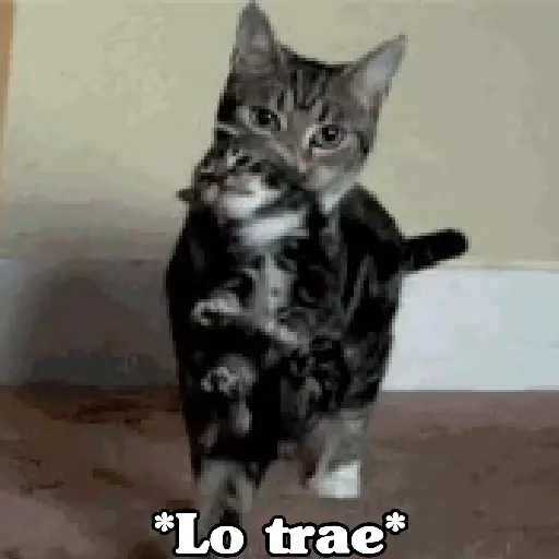 Animales