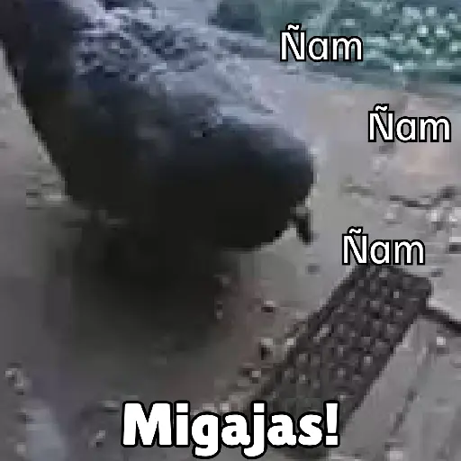 Animales