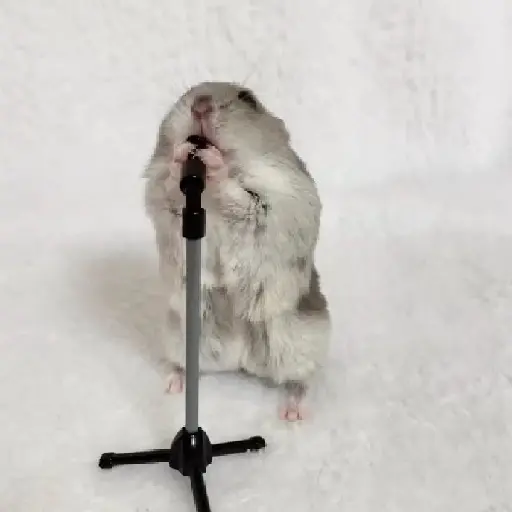 Hámsters,Ratitas y algo más 🐹🐭