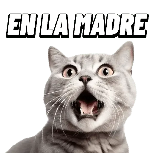Animales Random