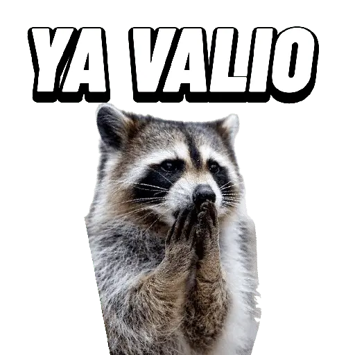 Animales Random