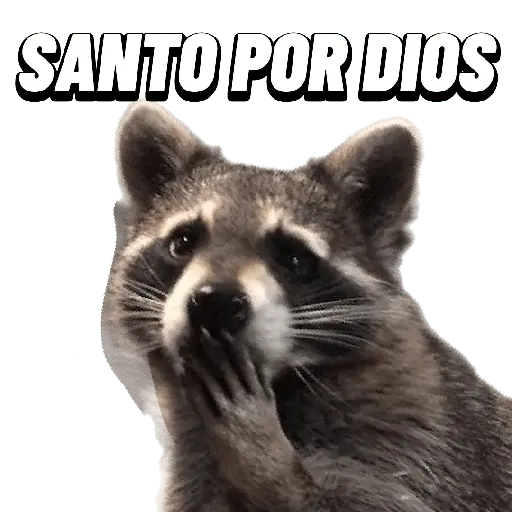 Animales Random