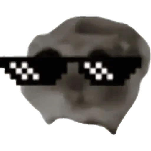 Ratita Random 🐀