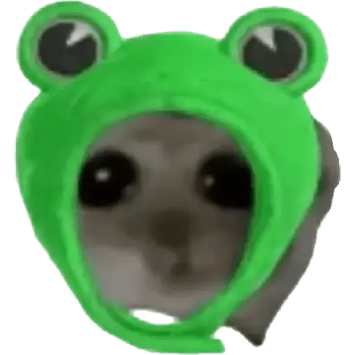 Ratita Random 🐀