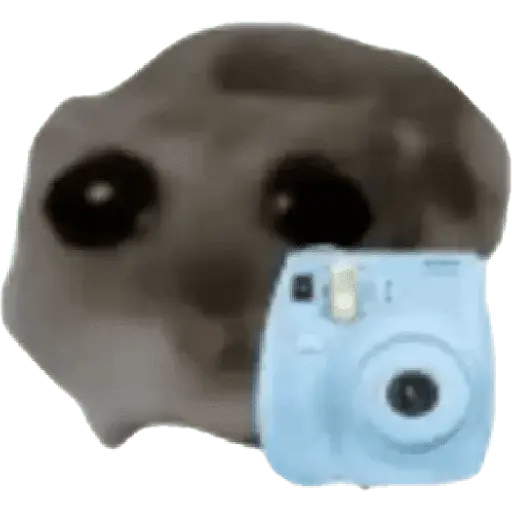 Ratita Random 🐀