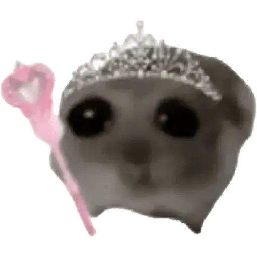Ratita Random 🐀
