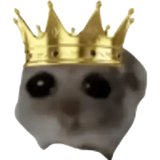 Ratita Random 🐀