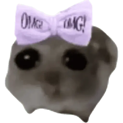 Ratita Random 🐀