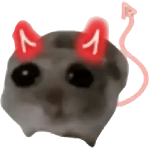 Ratita Random 🐀