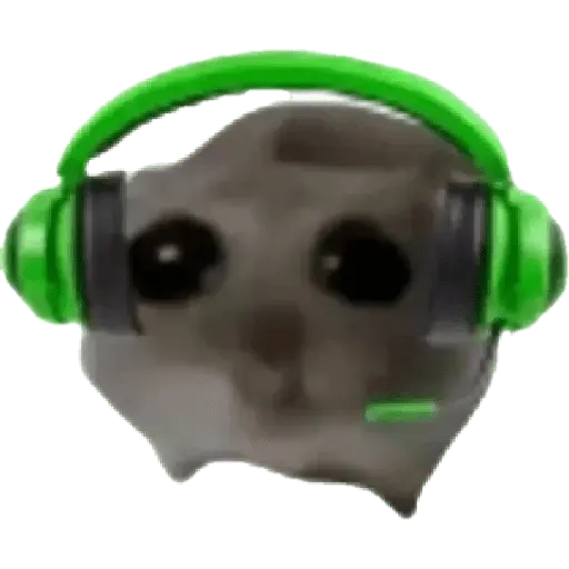 Ratita Random 🐀