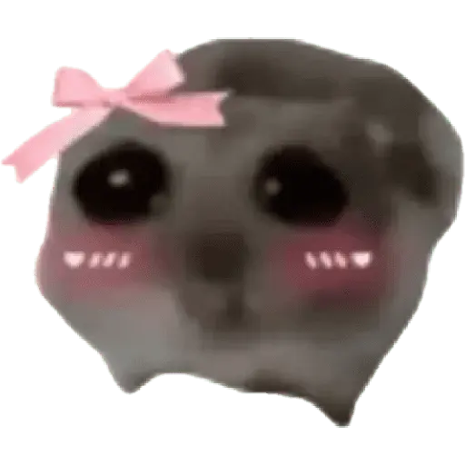 Ratita Random 🐀