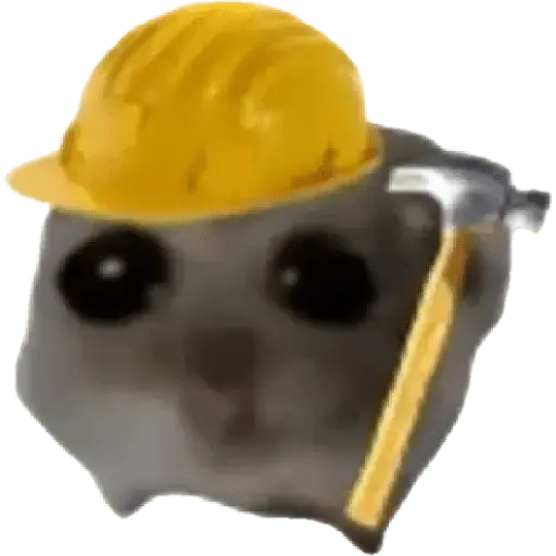 Ratita Random 🐀