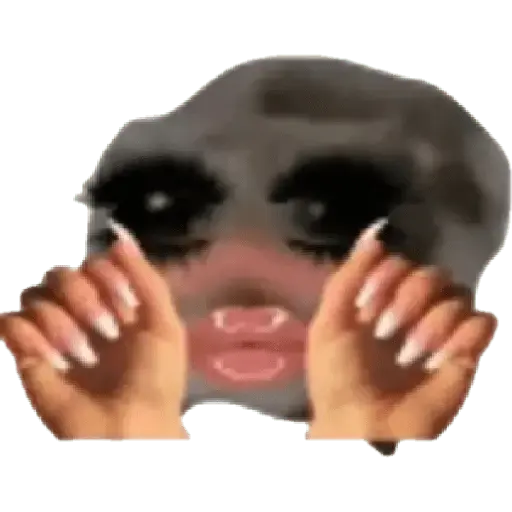 Ratita Random 🐀