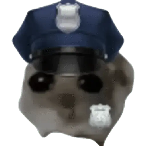 Ratita Random 🐀