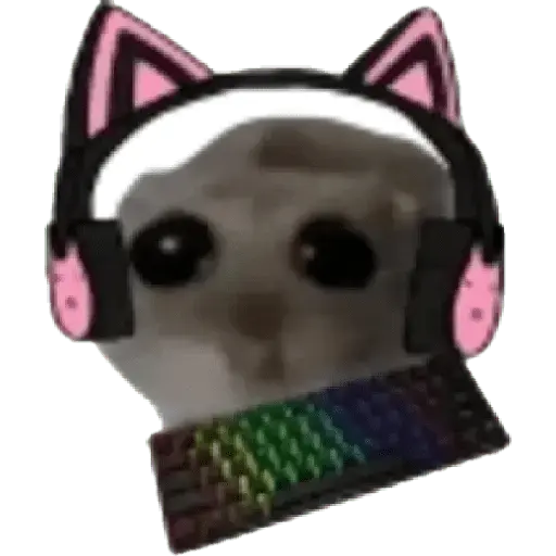 Ratita Random 🐀