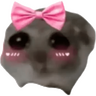 Ratita Random 🐀