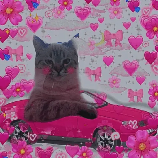 Gatos Amor💖💙💛